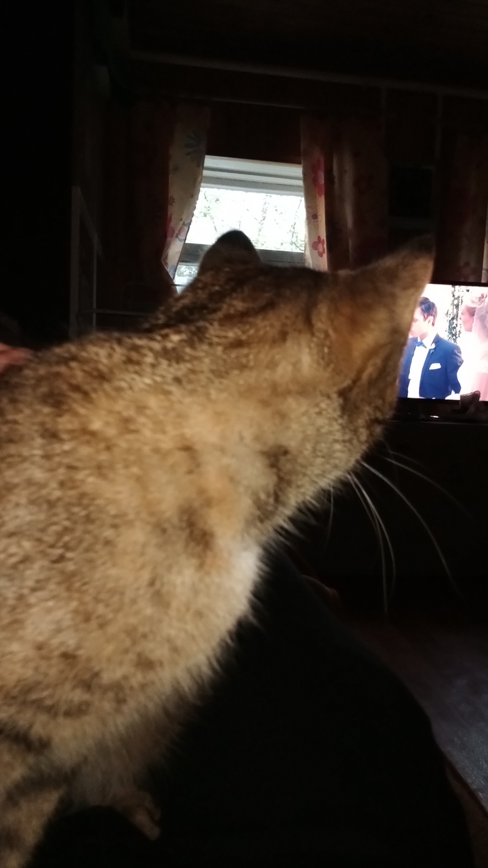 �������� ����������