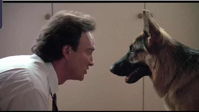 K-9 - all the secrets of Jerry Lee - James Belushi, k-9, Longpost, Comedy, Police, Video, Dog, Movies, Interesting facts about cinema