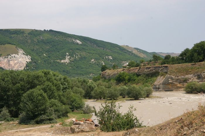 Меловые породы Кавказа Геология, Кавказ, Мел, Микроскоп, Длиннопост