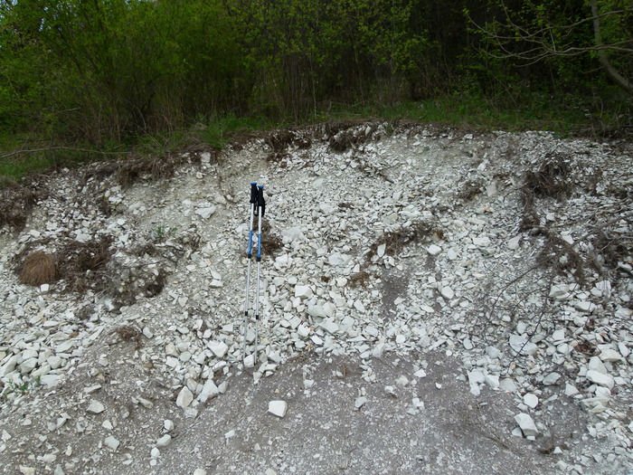 Меловые породы Кавказа Геология, Кавказ, Мел, Микроскоп, Длиннопост