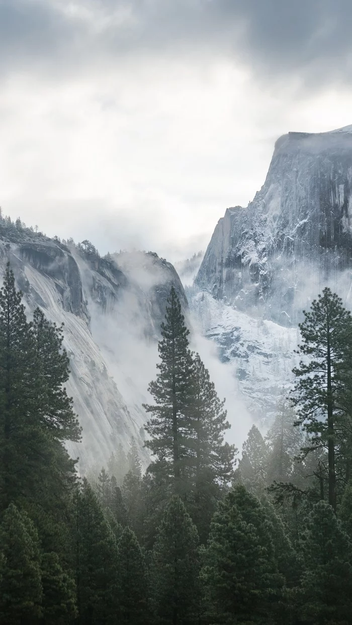 Cold breath of the sky - The mountains, Snow, Fog, Sky, Mainly cloudy, Forest, Phone wallpaper, The photo