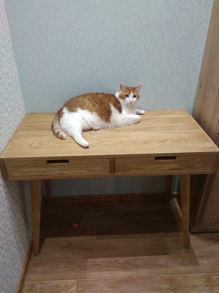 Вездесущий Котофей