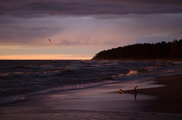 Sunset - My, Sunset, Riga, Sea, The photo