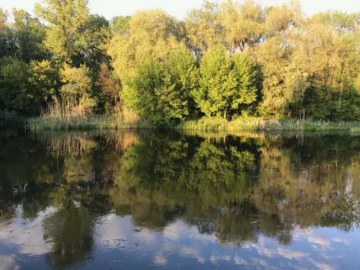 A two-day hike near Kharkov can be wonderful - Longpost, Kharkiv Oblast, May, Kharkov, Hike, My