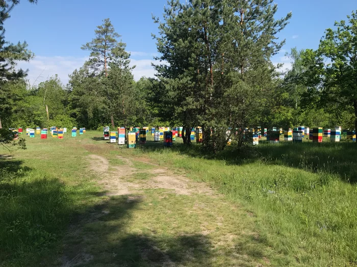 A two-day hike near Kharkov can be wonderful - Longpost, Kharkiv Oblast, May, Kharkov, Hike, My