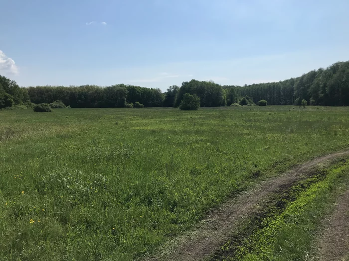 A two-day hike near Kharkov can be wonderful - Longpost, Kharkiv Oblast, May, Kharkov, Hike, My