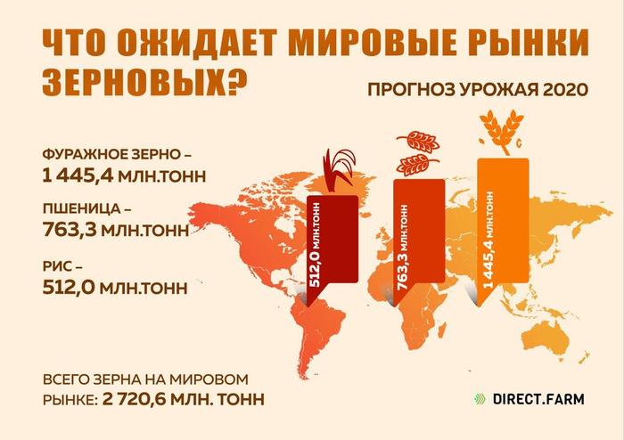 What awaits the world grain markets? - My, Сельское хозяйство, Farmer, Plant growing, Agronomy, Agronomist, Squirearchy, Farming, Combine harvester