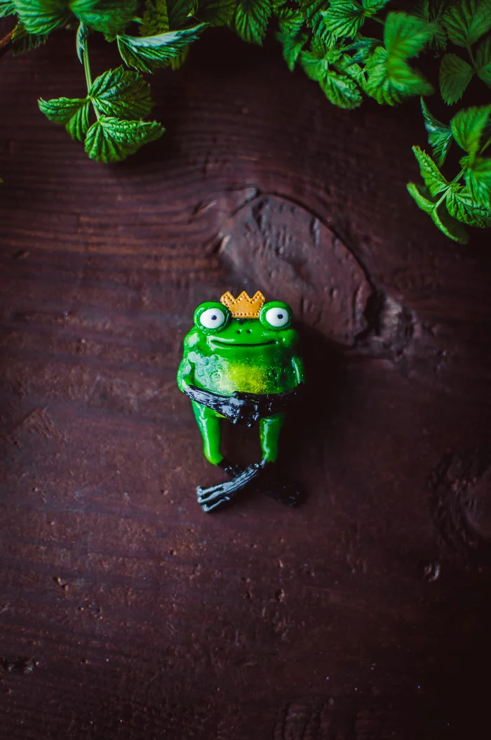Brooches made of polymer clay - My, Handmade, Polymer clay, Brooch, Needlework without process, Longpost, Nika_kiss, cat, Frogs