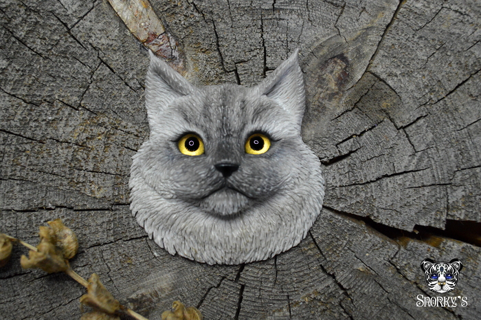    )  ) , , , ,  ,  , ,   