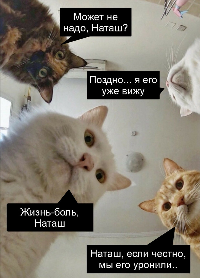 Так, мысли вслух...