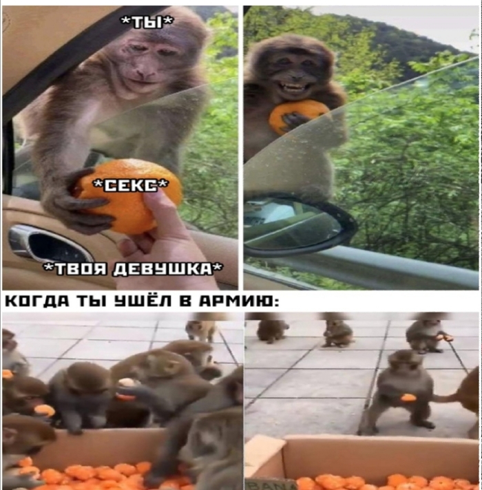 Налетай торопись, разбирай и €бись