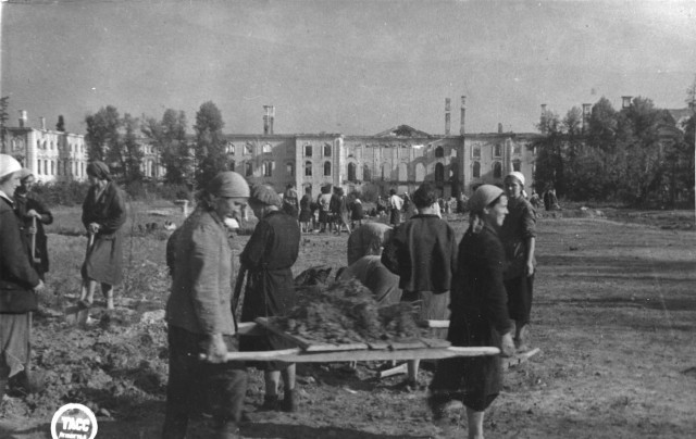 Peterhof. Restoring the Pearl - Peterhof, The Great Patriotic War, Longpost