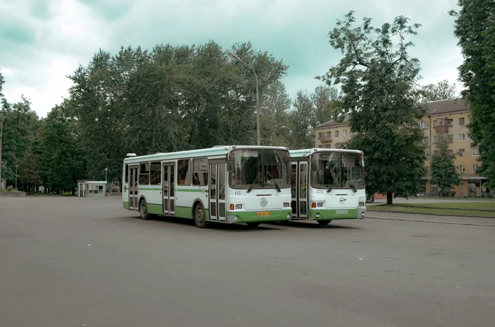 Псковские парочки - Моё, Псков, Автобус, Общественный транспорт, Фотография