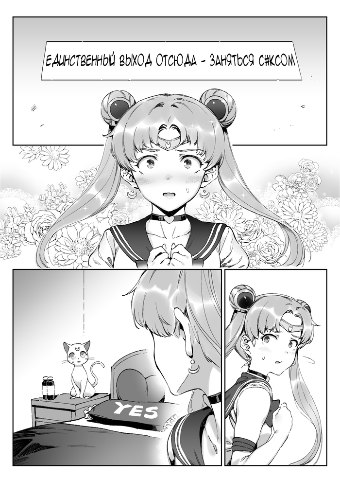 Cat is fine too Sailor Moon, , Sailormoonredraw