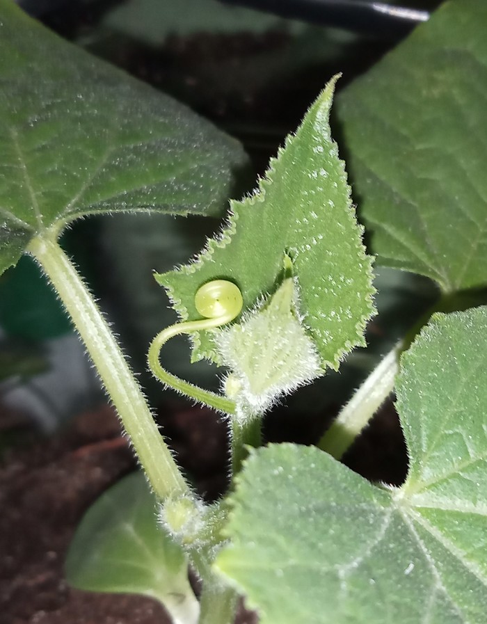 ��� �� ���� �����