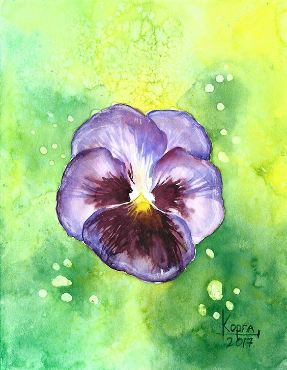 Pansies in watercolor - My, Watercolor, Illustrations, the effect, Flowers, Nature, Drawing, Painting, Etude, Longpost