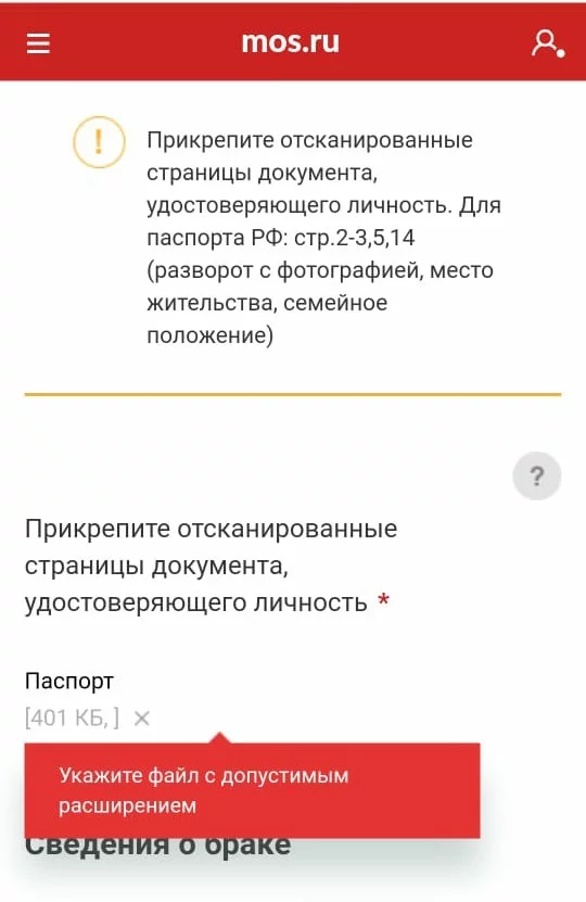 Payments for a child. Please specify a file with a valid resolution - My, Moscow Public Services, Public services, How?, Life hack, Digitalization, Rukozhop