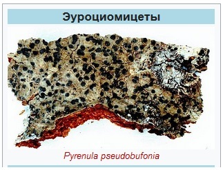 Вода - Моё, Сера, Ртуть, Мышьяк, Кадмий, Длиннопост