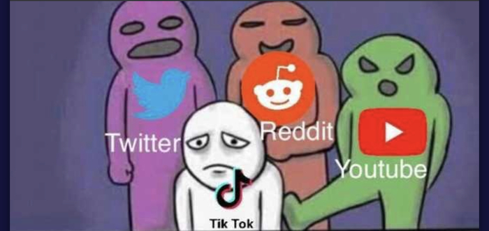          TikTok, , , , Reddit