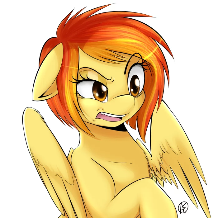 He say whaaat - My little pony, Spitfire, Spittfireart