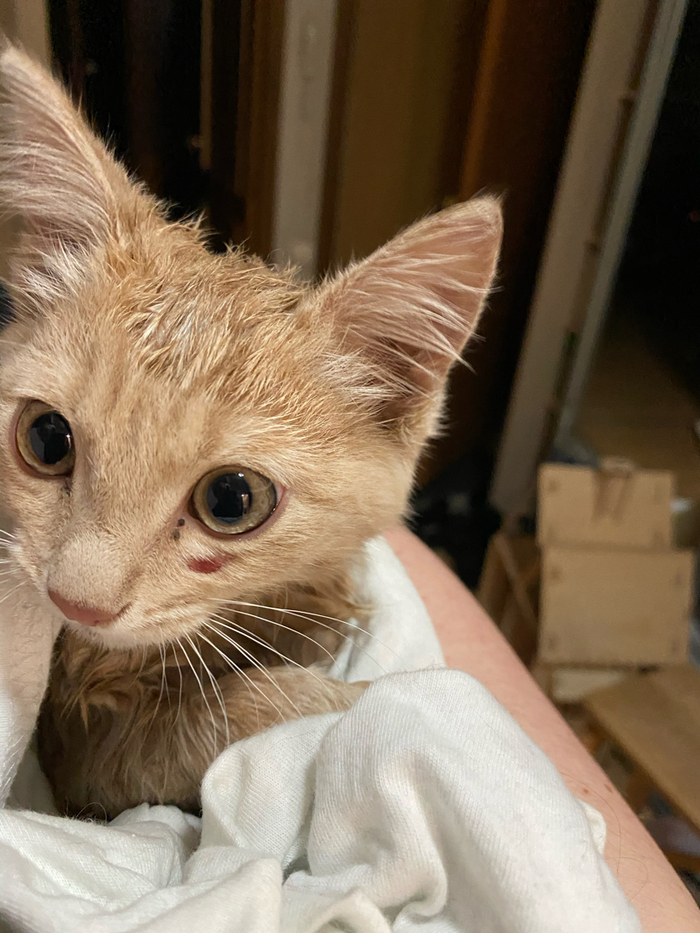 ����� ������ ���� ���! ���!