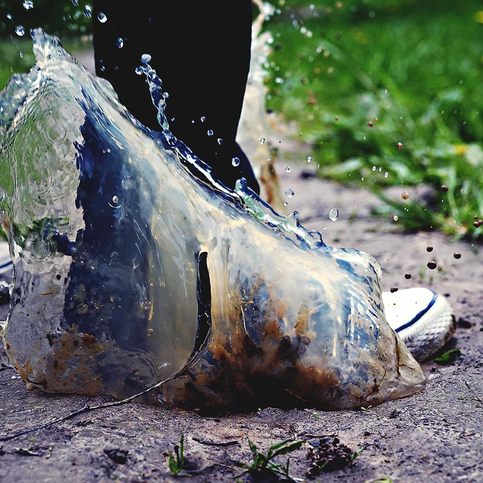 Who hasn't run through puddles? - My, Nikon, Puddle, Spray, The photo