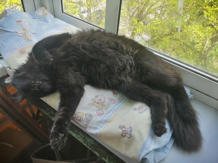 ������ �����...