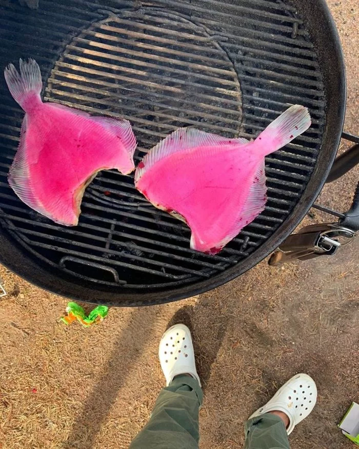 Grilled flounder with couscous - BBQ, Cooking, Men's cooking, Weber, Fish dishes, Recipe, Grill, Longpost