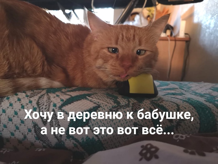 � �� ��� ��� ���...