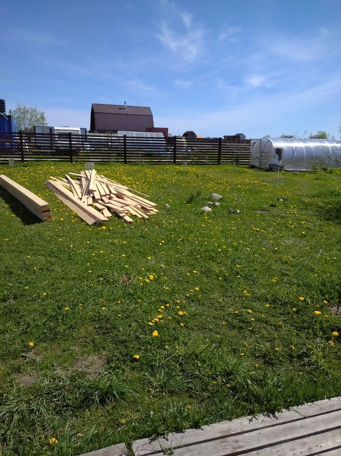 Country house - My, Dacha, beauty, Longpost, Dandelion