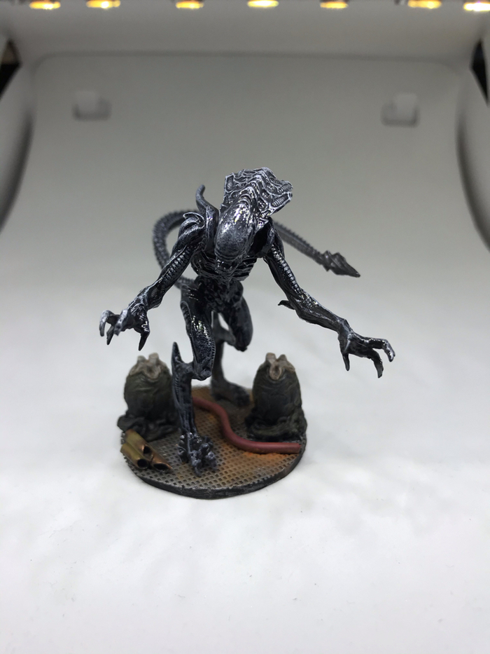   . Aliens versus Predator: Unleashed. Royal Guard  ,   , Royal Guard, 