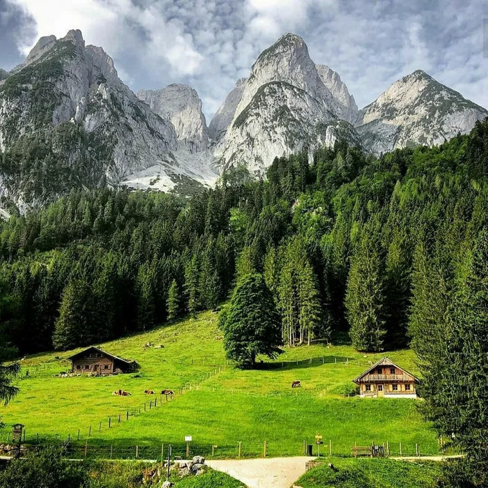 Green) - The mountains, Forest, Austria