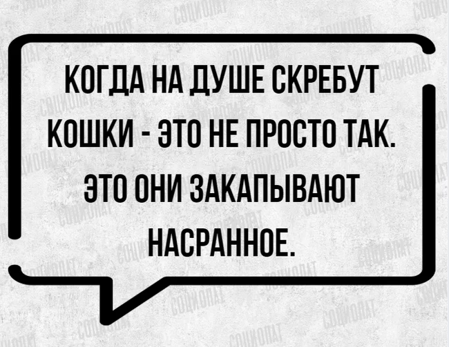 А в углу скребёт мышь... - Навеяло, Картинки, Текст