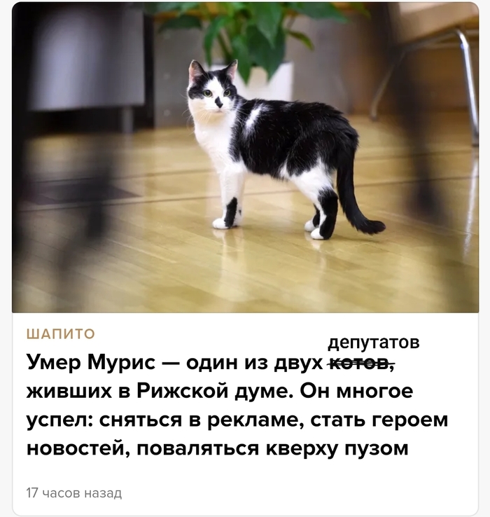 � ���� ����� �� ���������