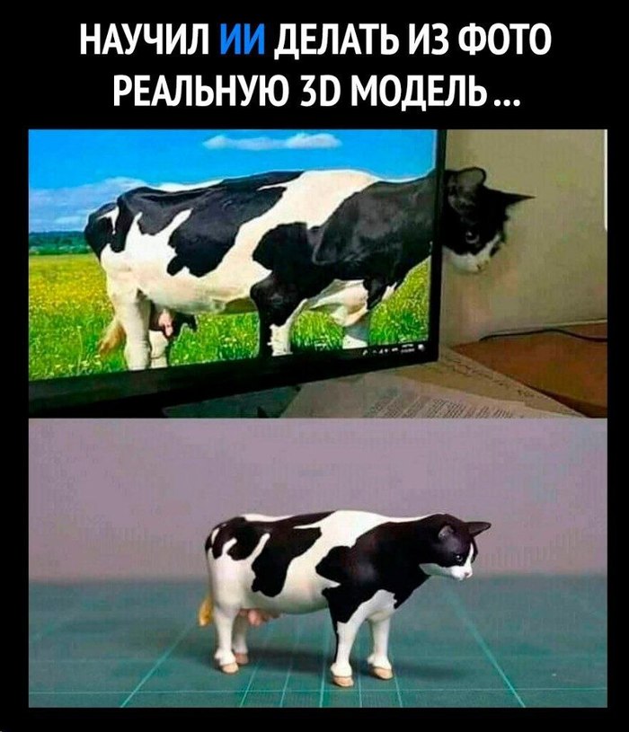 3D    , 3D ,  , , 