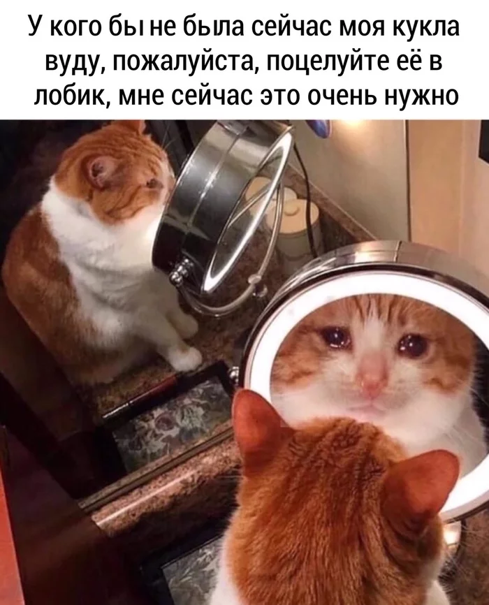 Loneliness - Loneliness, From the network, cat, Sadness