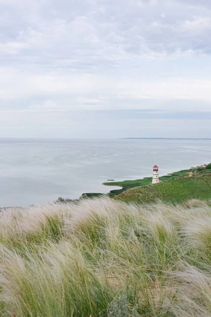 Blooming feather grass on the shore of Taganrog Bay - My, The photo, Lighthouse, Sea, Nature, Spring, Longpost