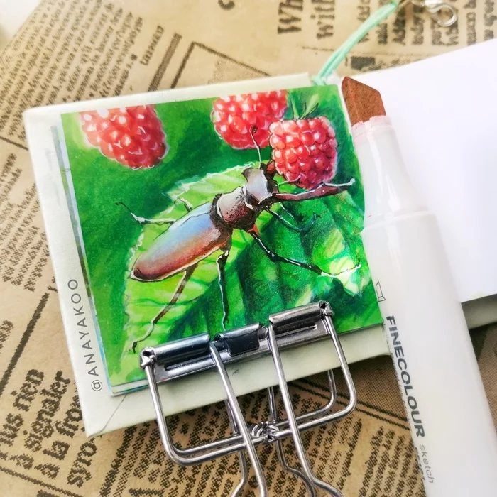 In raspberries - My, Raspberries, Жуки, Berries, Alcohol markers, Colour pencils, Sketch, Sketchbook, Nature