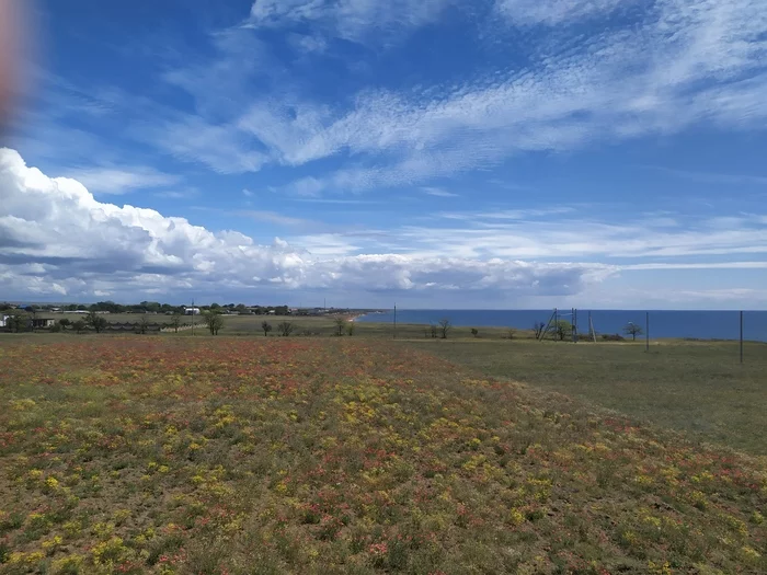 May in Crimea! - My, Crimea is ours, Work, Longpost