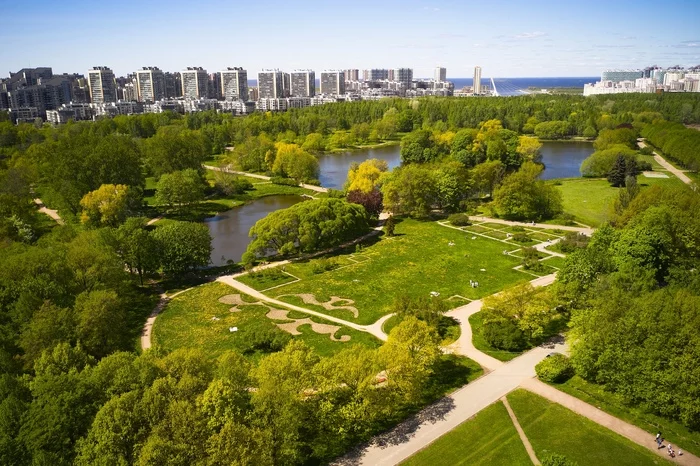 South Primorsky Park - My, The park, Saint Petersburg, Post #7486158, Aerial photography