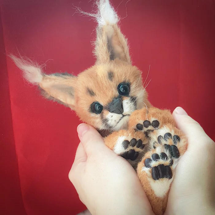 Handmade caracal - My, Caracal, Author's toy, Soft toy, Nature, Needlework without process, Needlework, Handmade, Longpost