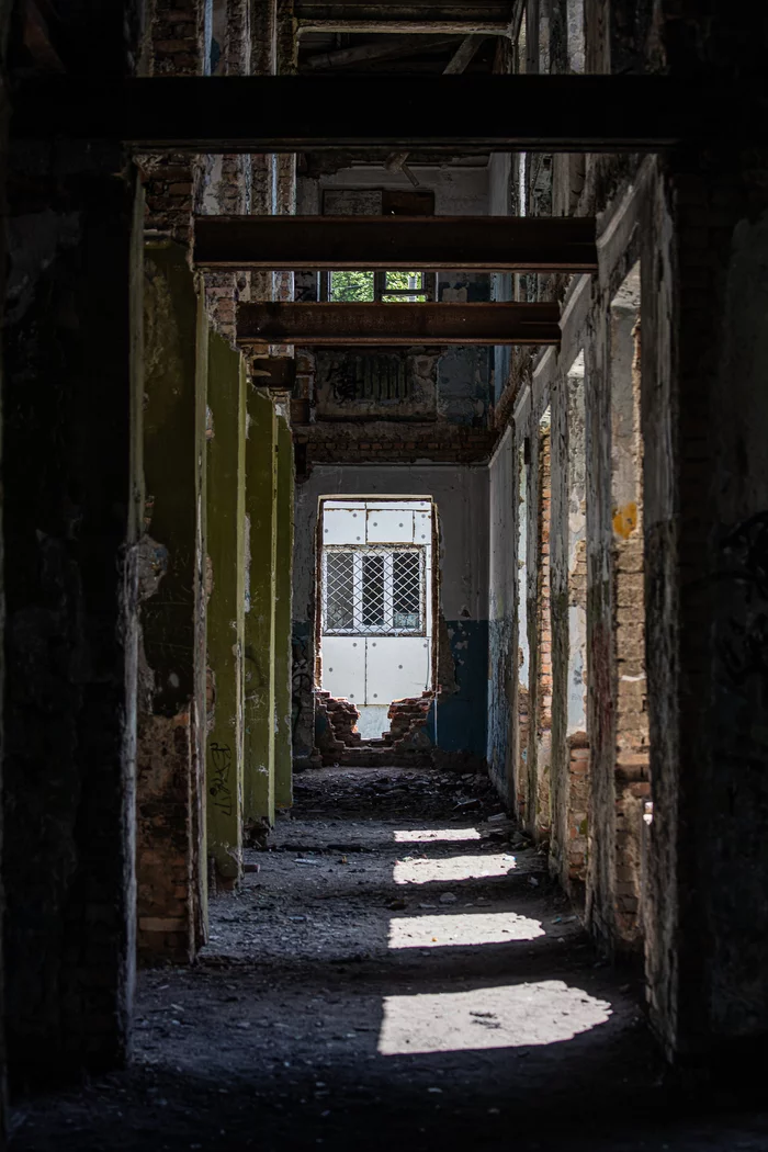 15 km or 18 thousand steps in the Zmeinka district in Vladivostok - My, Vladivostok, The photo, Photographer, Hike, Longpost