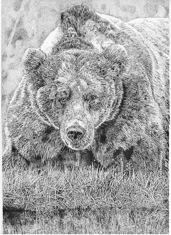 Ursus - My, Stippling, Drawing, Graphics, Pointillism, Video