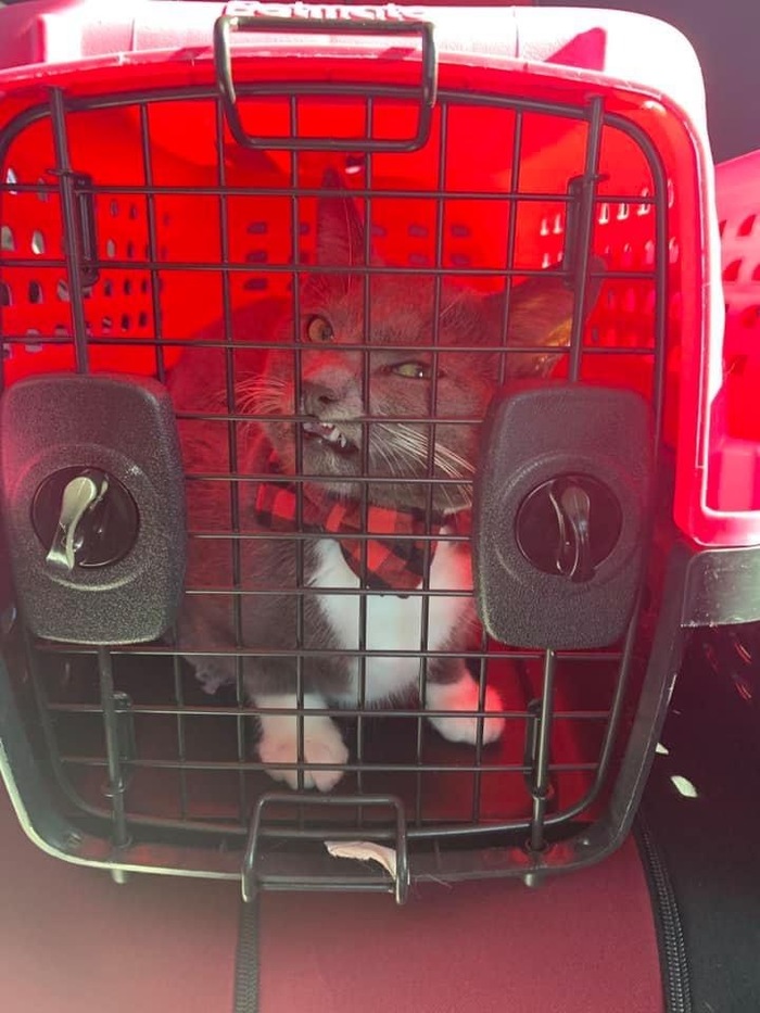 Такого выпускать страшно