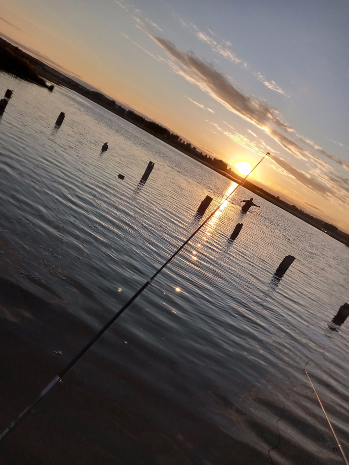 Вчера сходил рыбачить | Пикабу