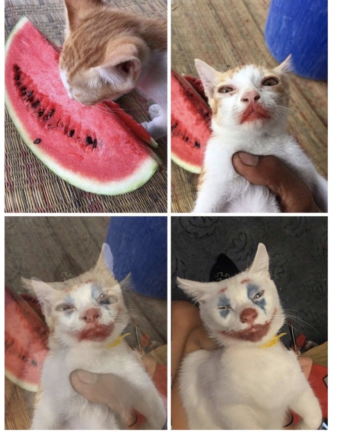 Будешь объявлять, назови меня Джокер