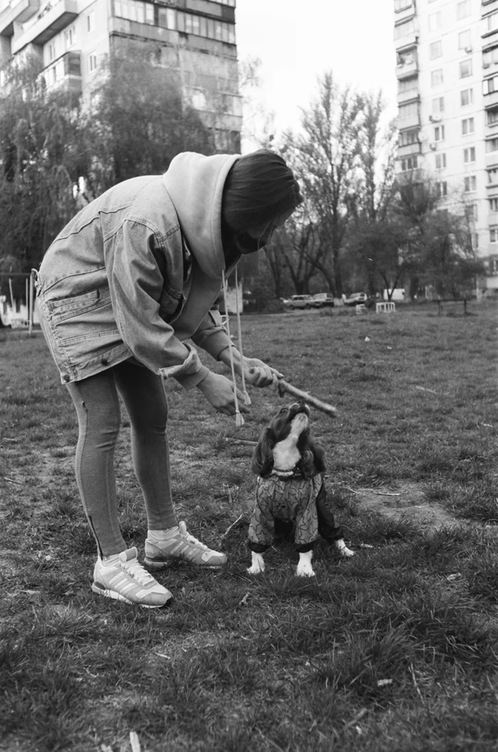 Немного ч/б в ленту - Моё, Фотопленка, Киев-19, Черно-белое фото, Kodak, Фотография, Гелиос-81н, Длиннопост