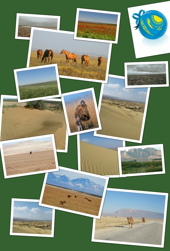 Казахские степи | Пикабу