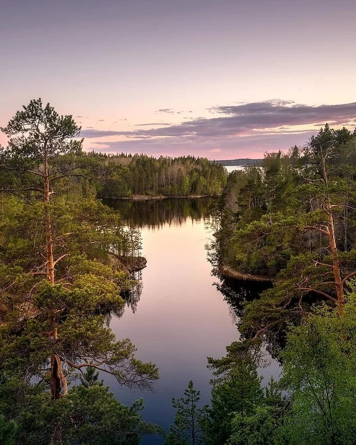 Karelia. - Nature, The nature of Russia, Карелия, Lake, Forest, Ladoga, Sunset