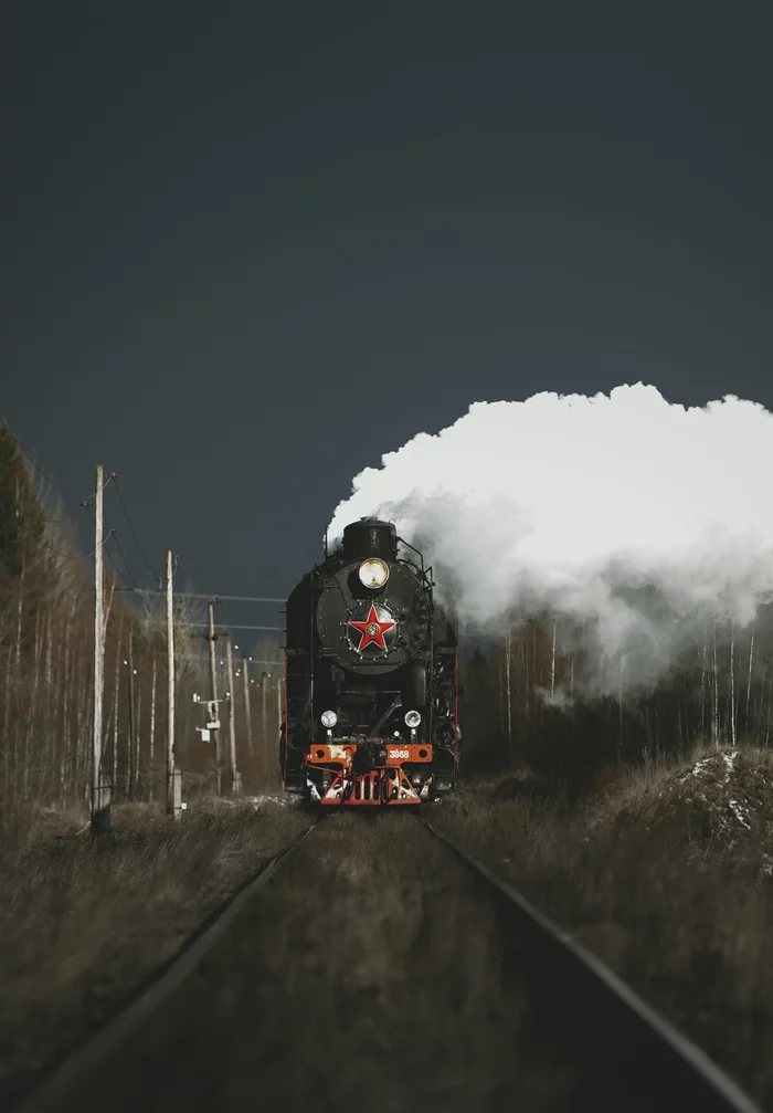 Bring on the park! - Oktyabrskaya Railway, Railway, Locomotive, A train, The photo, Travels, Russia, My